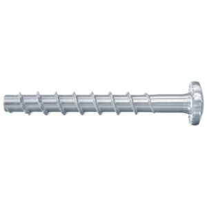 FBS II 6x30/5 P Винт по бетону fischer c полуцилиндрической головкой и плоским концом оц. сталь, 6x30/5 мм (арт. 546377)