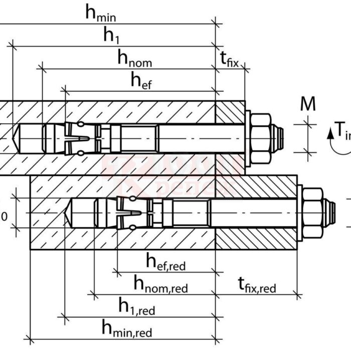 dgw-b-fvz-01.jpg
